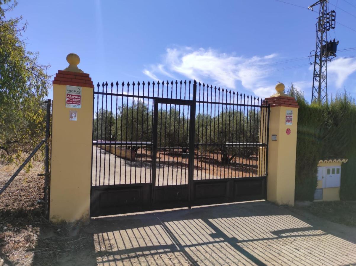 Los Abuelos Setenil De Las Bodegas Εξωτερικό φωτογραφία