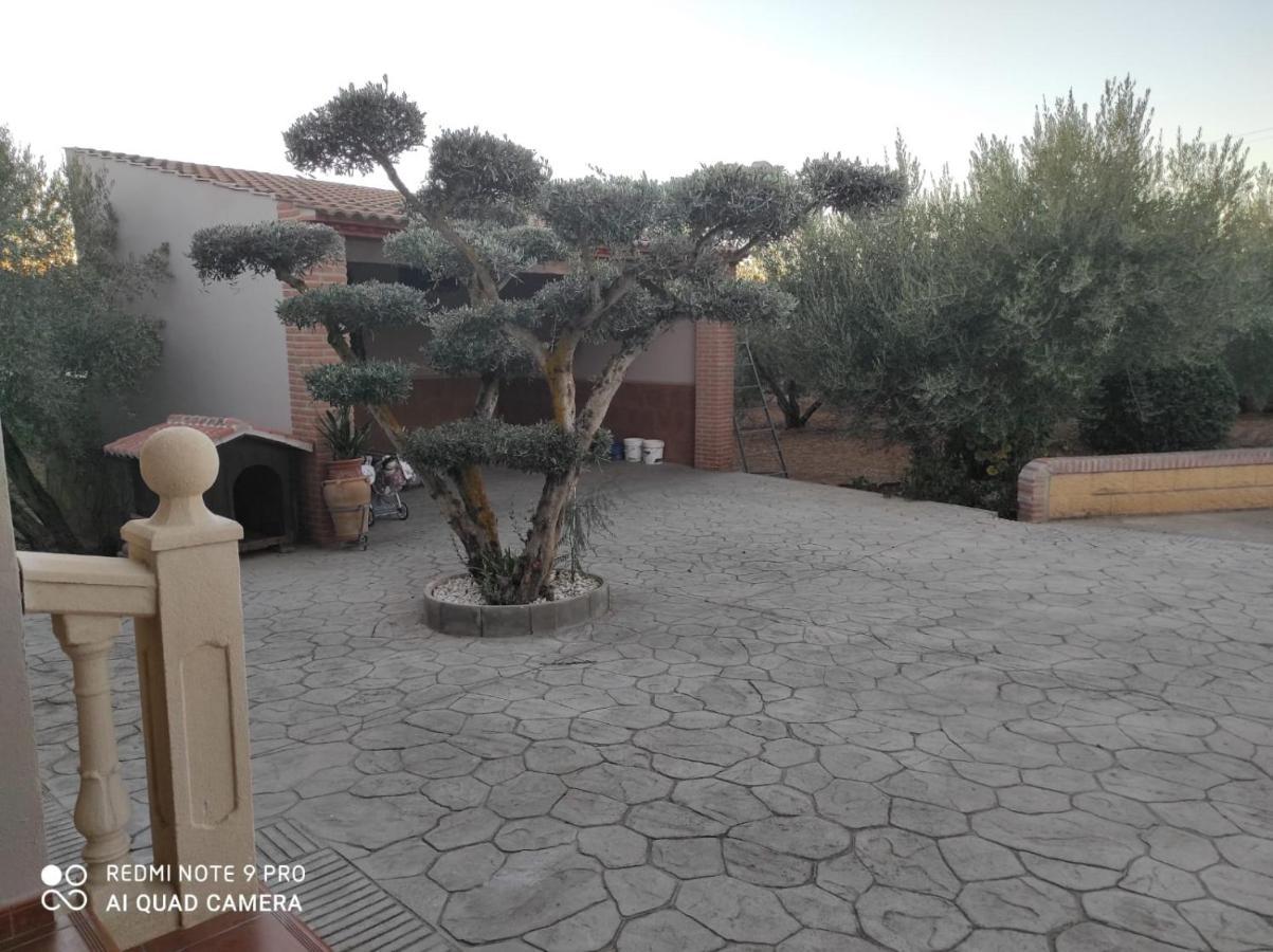 Los Abuelos Setenil De Las Bodegas Εξωτερικό φωτογραφία