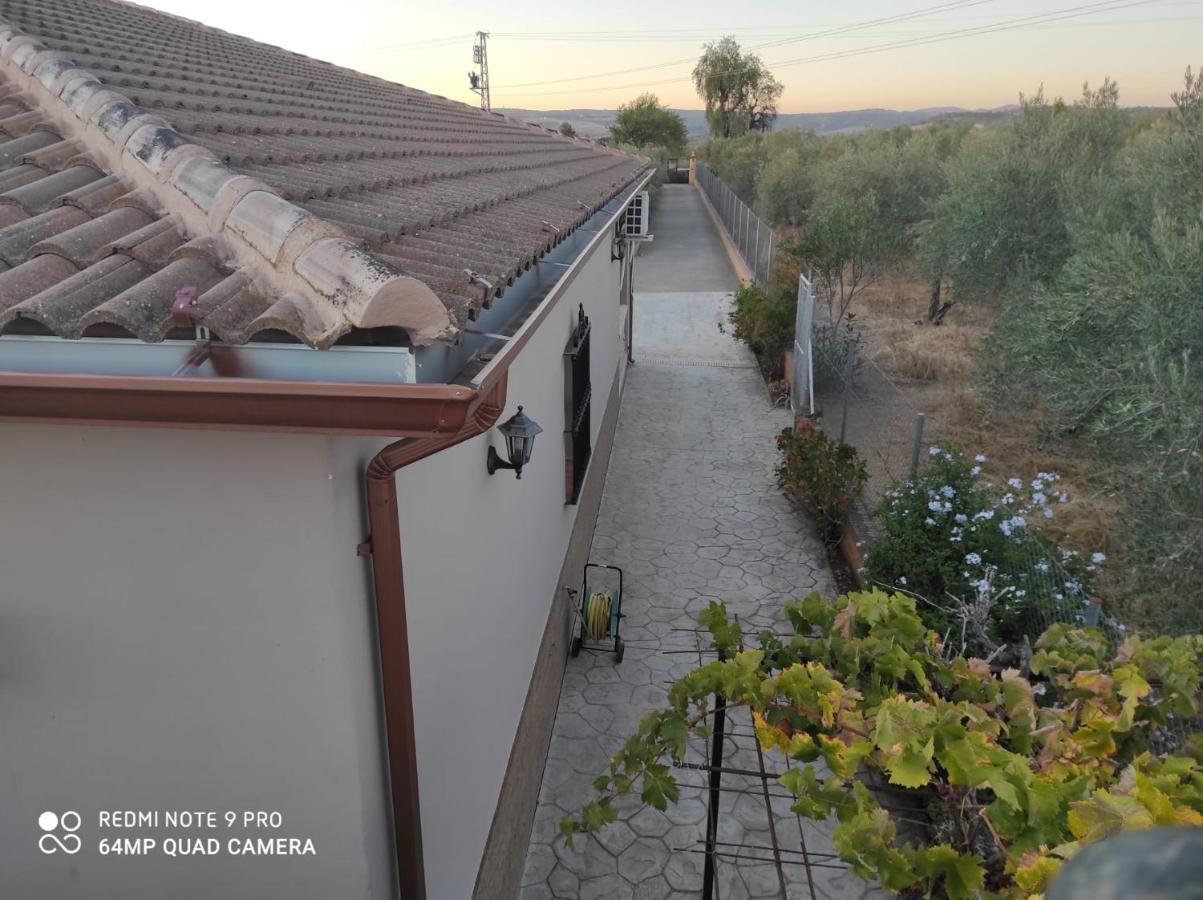 Los Abuelos Setenil De Las Bodegas Εξωτερικό φωτογραφία