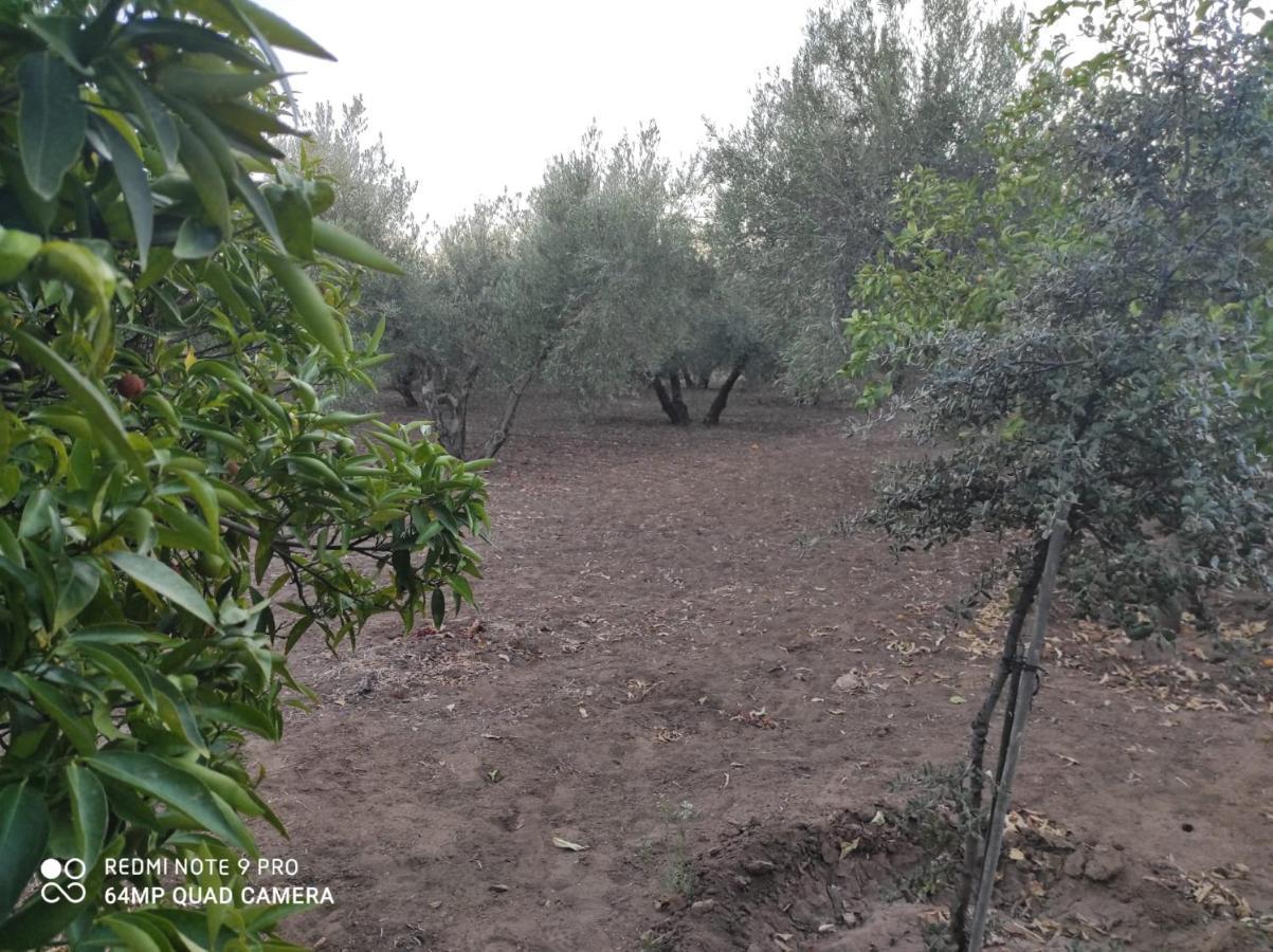 Los Abuelos Setenil De Las Bodegas Εξωτερικό φωτογραφία