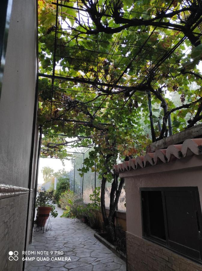 Los Abuelos Setenil De Las Bodegas Εξωτερικό φωτογραφία