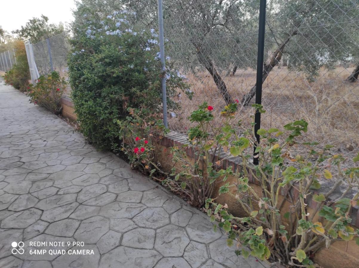 Los Abuelos Setenil De Las Bodegas Εξωτερικό φωτογραφία